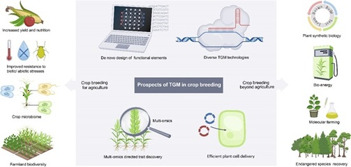 高彩霞研究組在Nature Reviews Genetics發表綜述 基因組靶向修飾工具在作物育種中的前沿應用